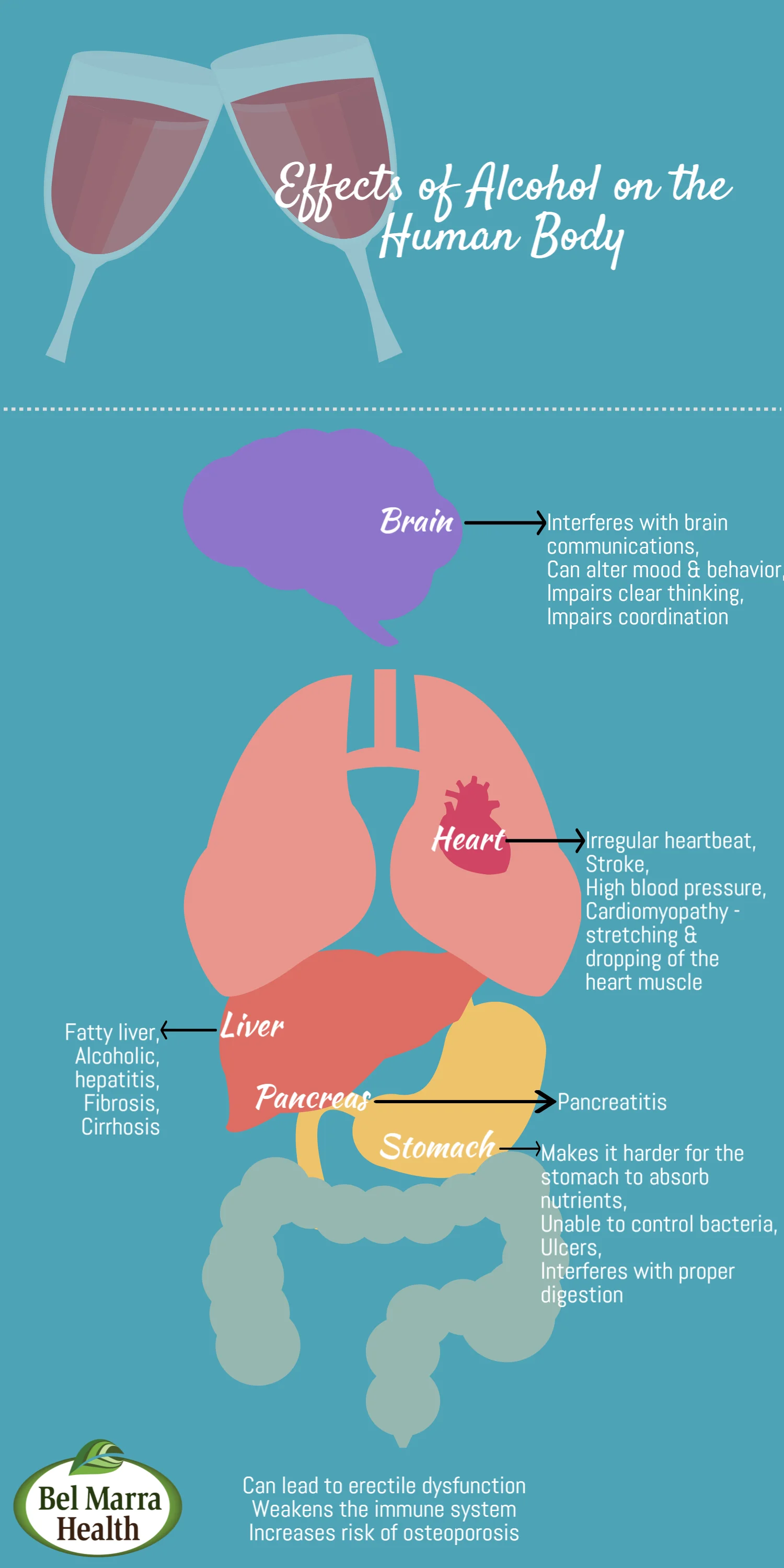 Infographic of the effects of alcohol on the human body.